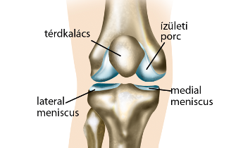 térd osteoarthritis hialuronsav kezelésének áttekintése ujjperc fájdalom