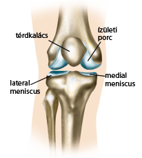 gyógyszer térdízület betegség