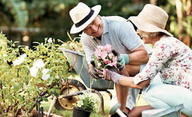 Miért ajánlják a tudósok a szelént és a Q10-et 50 felett?