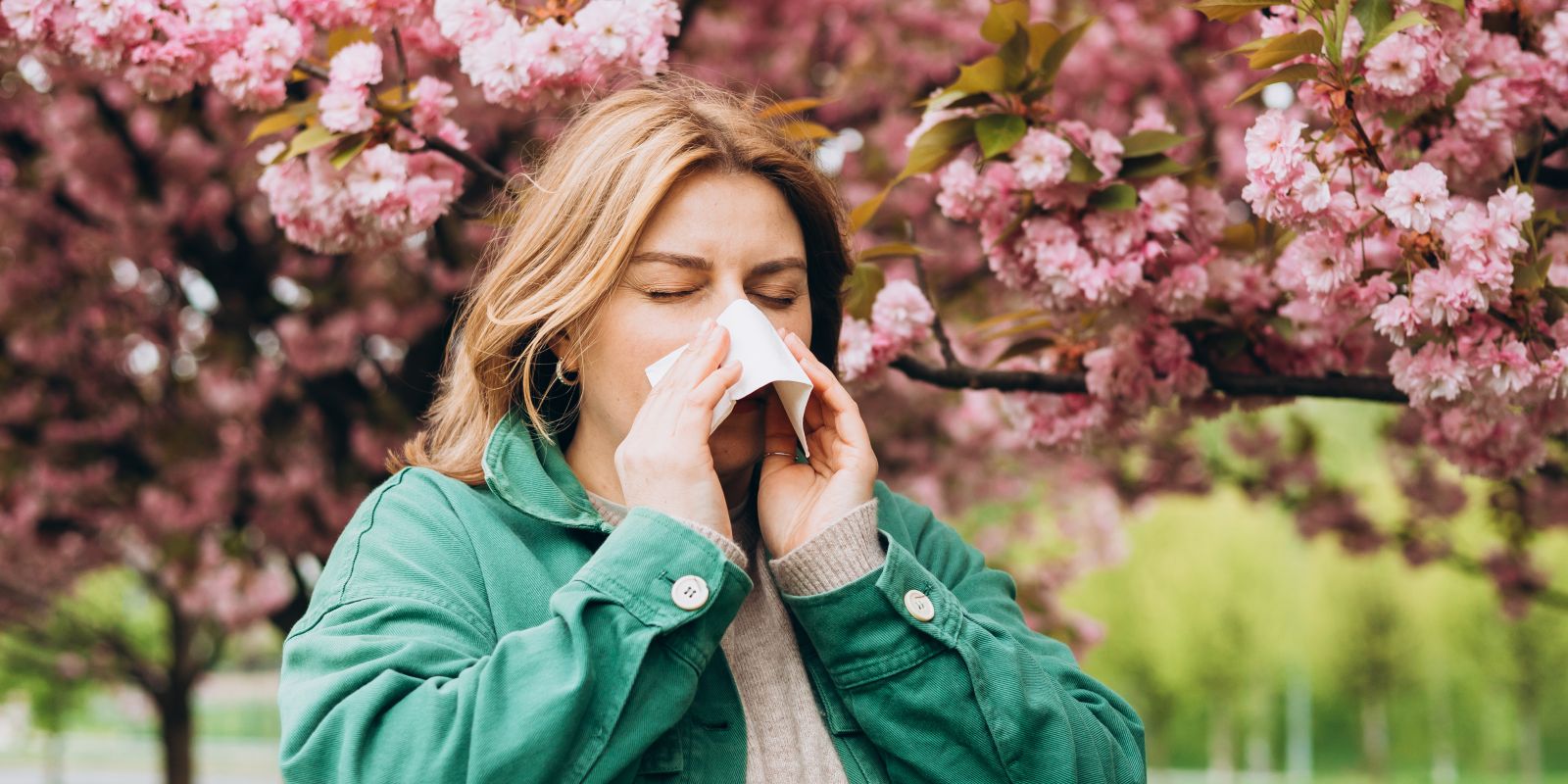 Jó hír a pollen allergiában szenvedők számára Jó hír a pollen allergiában szenvedők számára
