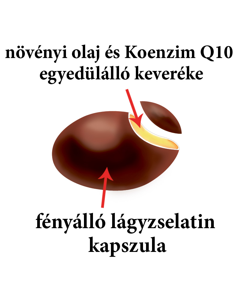 A koenzim Q10 kapszulánk felépítése